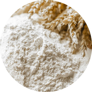 Farine all'ingrosso per bar, pasticcerie e ristoranti – Food Italy World
