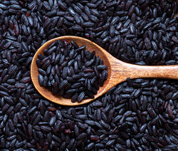 RISO NERO VENERE 1KGX10