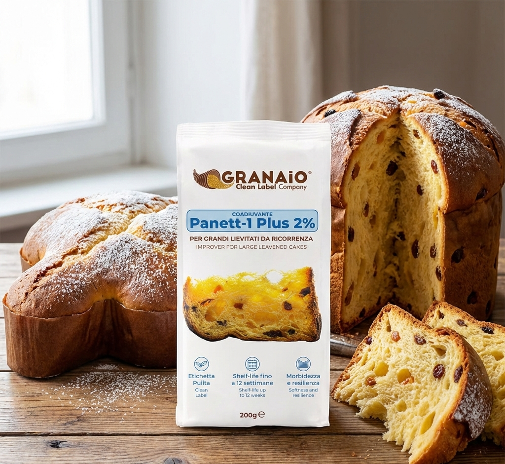 Panett 1 Plus Il Granaio delle Idee: Il Segreto Tecnico per Grandi Lievitati da Maestro