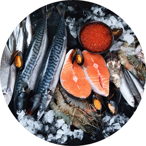 Pesce all'ingrosso per bar, pasticcerie e ristoranti – Food Italy World