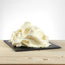 Mascarpone Imperiale Sprint PreGel 1kg - Base Gelato al Mascarpone