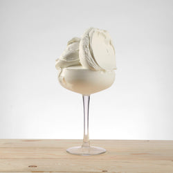 Preparato Ricott PreGel al gusto ricotta – polvere concentrata per gelateria e pasticceria 6 kg