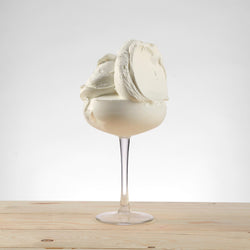 Preparato Ricott PreGel al gusto ricotta – polvere concentrata per gelateria e pasticceria 6 kg