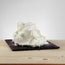 Base Deli Milk 200 da 1.6 kg, base per gelato al latte, cremosa e delicata, perfetta per gelati artigianali