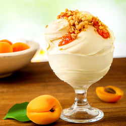 Arabeschi Albicocca Pregel – Variegatura per gelati e pasticceria con albicocche candite, dal gusto intenso e dalla consistenza cremosa. Ideale per arricchire gelati, semifreddi, torte e dessert.