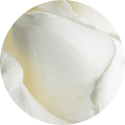 Base Magnifica da 1.5 kg, per creare gelati cremosi e vellutati, ideale per gelaterie artigianali