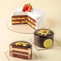 Biancapan™ PreGel – Base in polvere per mousse e semifreddi vegani, ideale per pasticcerie e gelaterie, senza ingredienti di origine animale.