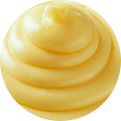 Crema Firenze 10kg – Crema delicata e ricca, perfetta per piatti dolci e salati.
