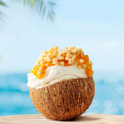 CrumbOlé® Cocco Gluten Free, gelateria, variegati e decorazioni, cocco rapè