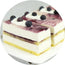 Fiordica Gel Evolution Yogurt 2kg – Gelato al gusto yogurt, fresco e cremoso, ideale per dessert leggeri e rinfrescanti.