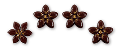 Fiore di cioccolato Floreal – 175 pezzi decorativi per pasticceria e dessert
