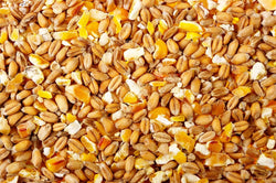 Cereali Misti 5kg – Mix di cereali per colazioni nutrienti e la preparazione di dolci fatti in casa.