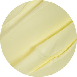 Crema Antica Sprint 1kg – Crema per preparazioni veloci e gustose, dal sapore ricco e tradizionale.