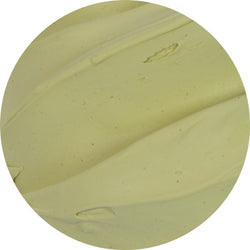 Pasta Gelato Pistacchio Puro N PreGel 2,5kg - Alta Qualità
