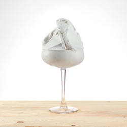 Kefir Sprint 1.2kg – Kefir fresco, ideale per bevande salutari e dessert fermentati.