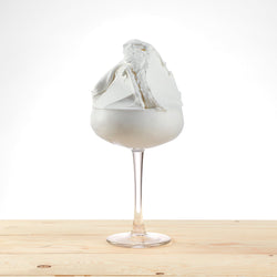 Kefir Sprint 1.2kg – Kefir fresco, ideale per bevande salutari e dessert fermentati.