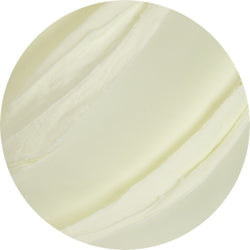 PreGel Lime Sprint 1,1kg - Preparato Pronto per Gelato al Lime