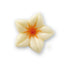 Decorazioni Narciso Ice Wer Cioccolato Bianco e Arancio (76pz)
