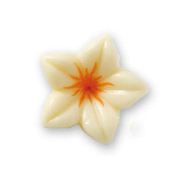 NARCISO CIOCCOLATO BIANCO/ARANCIO 76 PZ