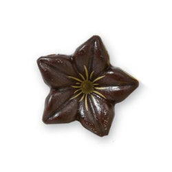 Decorazioni Narciso Ice Wer Cioccolato Fondente (76pz)
