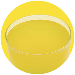 PreGel Pannacrema Limone 1,1kg - Pasta Aromatizzante Professionale