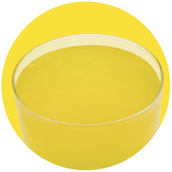 PANNACREMA LIMONE 1.1 KG