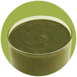 PreGel Pannacrema Pistacchio 1,1kg - Pasta Aromatizzante Professionale