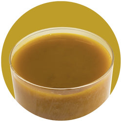 PreGel Pannacrema Zabajone Classico 1,1kg - Pasta Aromatizzante