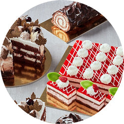 PAN DI SPAGNA CACAO KG 10