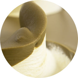 PinoPinguino Pistacchio PreGel 3kg - Crema Variegato per Gelato