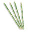 Decorazione Sigarette Cezanne Ice Wer (Box 115 Pezzi)