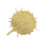 Spray Glitter Alimentare Oro Ice Wer 10g - Per Cake Design