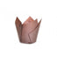 Artigiancarta Pirottini Tulip Marroni 50x80 mm - 200 pz - Per Muffin e Cupcake