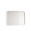 Vassoio Paperino Poloplast 48x36cm - Confezione 10kg