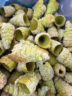 Cannoli sfoglia pistacchio mignon 65mm, 120 pezzi, per farciture golose