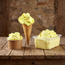 Limoncello Sprint® PreGel 1,1 kg preparato vegan professionale per gelato al limoncello senza alcol dal gusto autentico e intenso aroma di agrumi mediterranei.