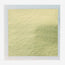 Foglie d'Oro Alimentare Ice Wer 80x80mm - Astuccio 25 Fogli