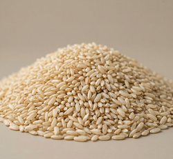 Dettaglio chicchi di riso integrale crudo di alta qualità su sfondo neutro.